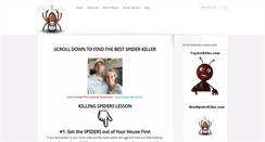 Desktop Screenshot of bestspiderkiller.com